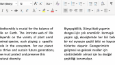 hasanhuseyin051 portfolyosu 1