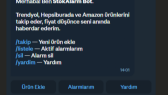 timurlenkfirat portfolyosu 1