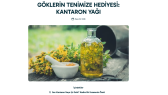 seymanurz portfolyosu 1