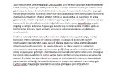 begumsbeste portfolyosu 3