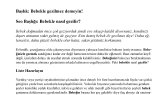 aybegumkarakus portfolyosu 1