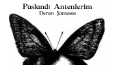 deransamasas portfolyosu 2