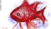 ecrinpehlivan portfolyosu 1