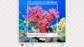 freelanced14 portfolyosu 1