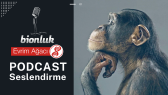 iremoznurkilic portfolyosu 1