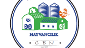 designacr portfolyosu 1