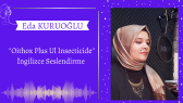 edakuruoglu portfolyosu 1