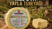 saredokumaci portfolyosu 1