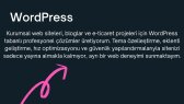 dilbirinerdem portfolyosu 1