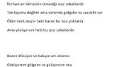 misiamkat portfolyosu 1