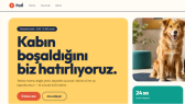 doganaykac1 portfolyosu 2