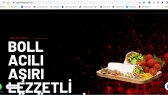 zinedweb portfolyosu 1