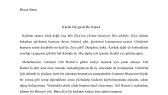 zambaklararasi portfolyosu 4