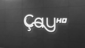 erayfettahoglu portfolyosu 1