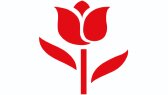 teknoumut19 portfolyosu 2