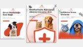 aksuali portfolyosu 3