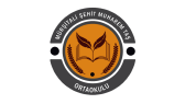 okanderinsu portfolyosu 1