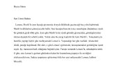 zambaklararasi portfolyosu 2