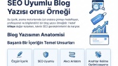 azadseker portfolyosu 1