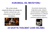 emirhantezis portfolyosu 2