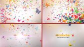 colorbar portfolyosu 1