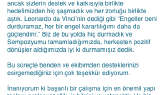 prophecy portfolyosu 3
