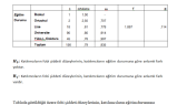 zebatmaz portfolyosu 2