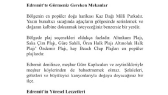 nesegence portfolyosu 2