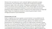 defnek portfolyosu 3