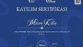 mervekilic2737 portfolyosu 2