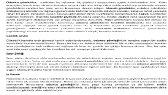 gokcetalay portfolyosu 1