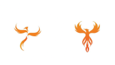 srcdesign portfolyosu 1