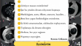 logolend portfolyosu 1