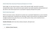 cihankulan portfolyosu 1