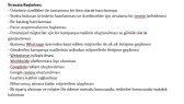 brbrhnys portfolyosu 2
