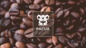eminturkoglu portfolyosu 4