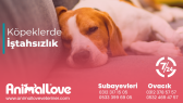 webtiko portfolyosu 1