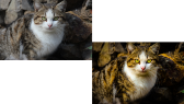 mesuthuzmeli portfolyosu 2