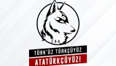 grayzcreative portfolyosu 2