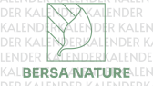 kalenderi portfolyosu 3