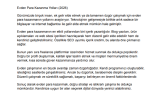 elzemdir portfolyosu 3