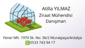 ozgrafiktasarim portfolyosu 4