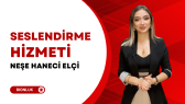 nesehaneci portfolyosu 1