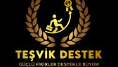 tesvikinfo portfolyosu 1