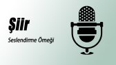 ahmethamdiozkan portfolyosu 4