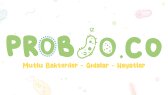 bullseyestudio portfolyosu 1
