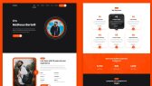 aip_themes portfolyosu 2
