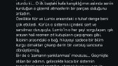 1karasamet portfolyosu 1