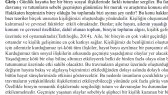 doktorbetul portfolyosu 2