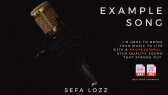 sefalozz portfolyosu 1